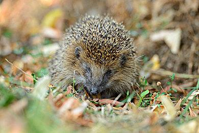 《咖啡心语2》登陆全平台发售 咖啡冲调情感游戏